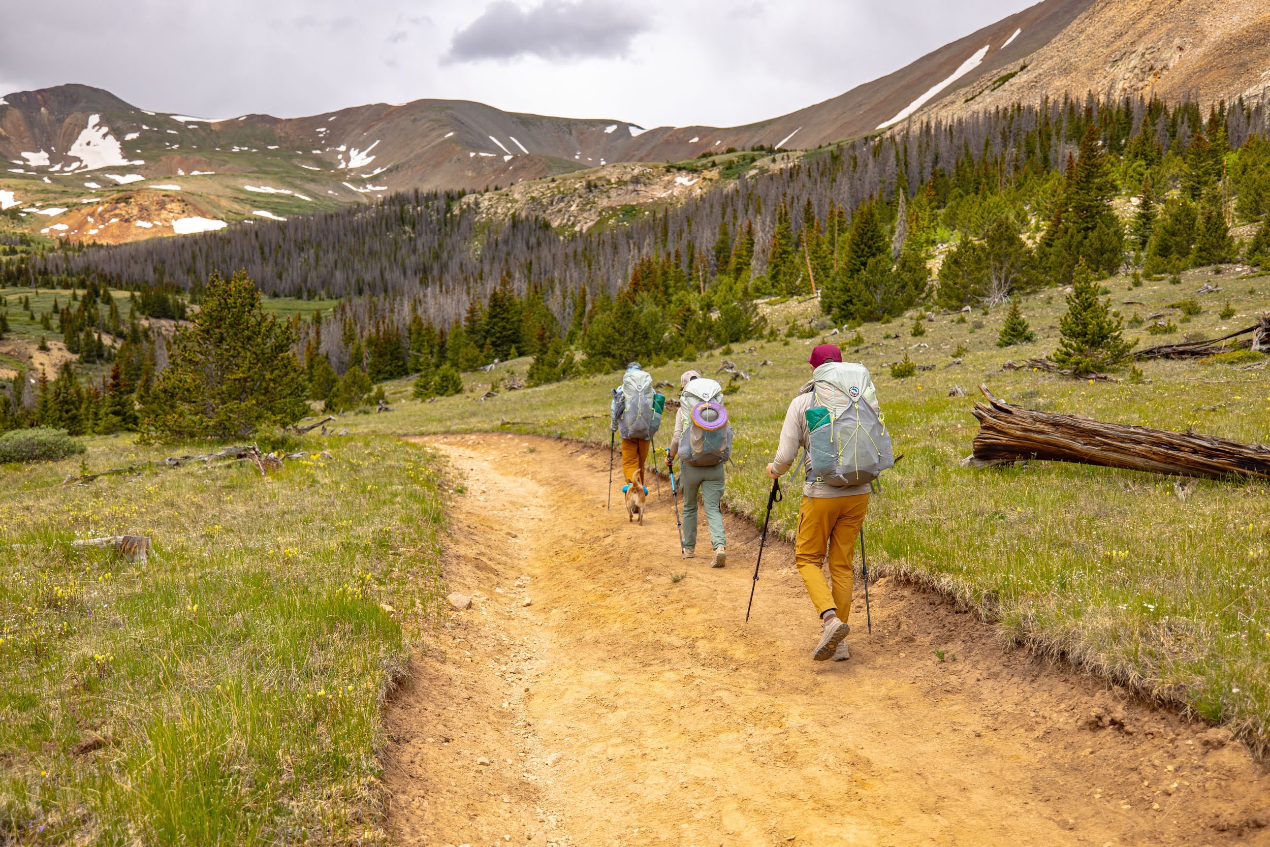 Backpacking Summer 2026 Gear Guide