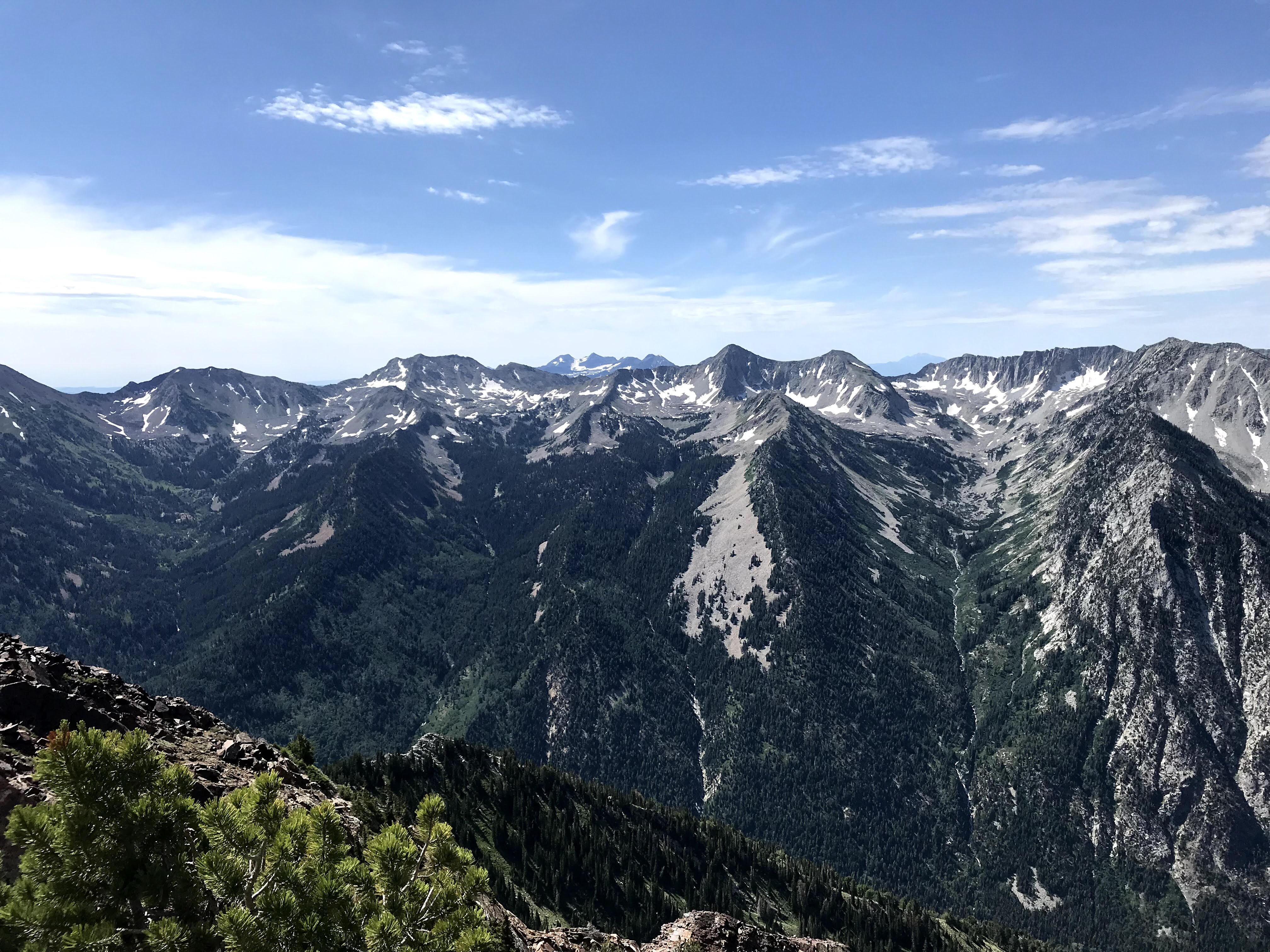 Little Cottonwood Canyon trail with granite walls in spring